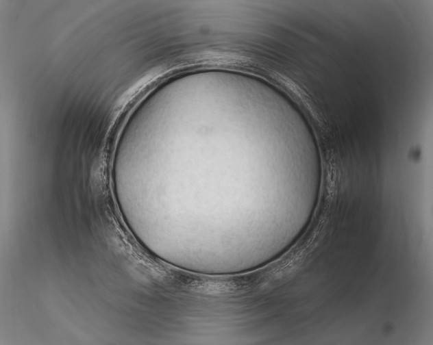 X0000116311074200912141353