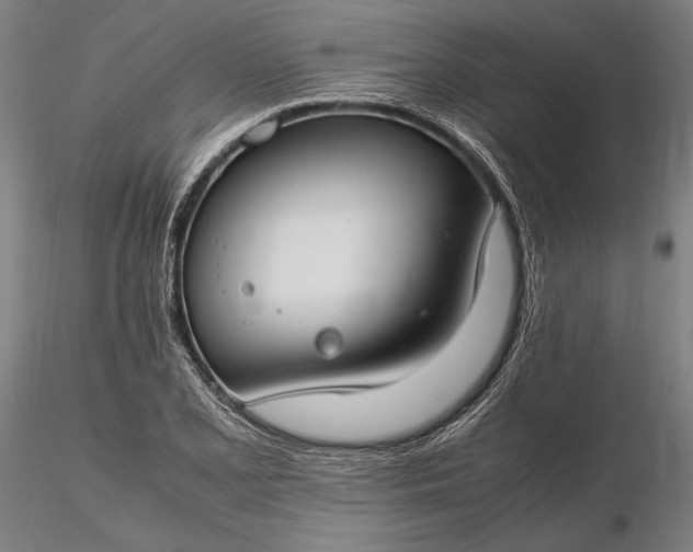 X0000116311077200912141353