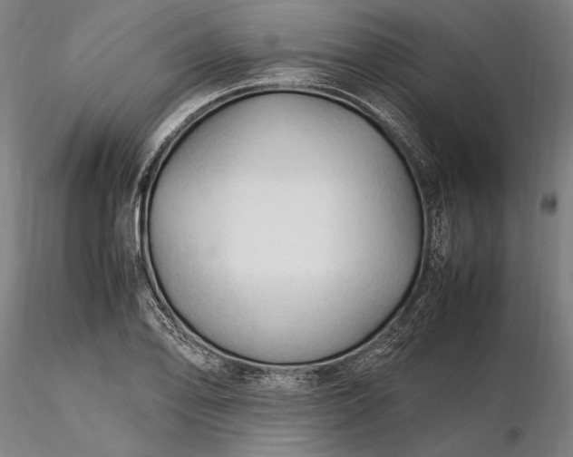 X0000116311078200912141353