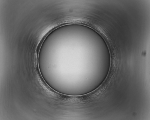 X0000116311079200912141353