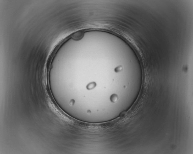 X0000116311080200912141353