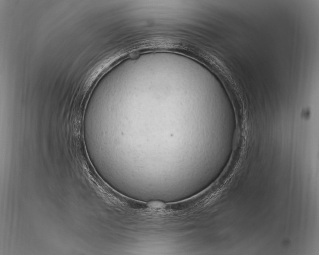 X0000116311081200912141353