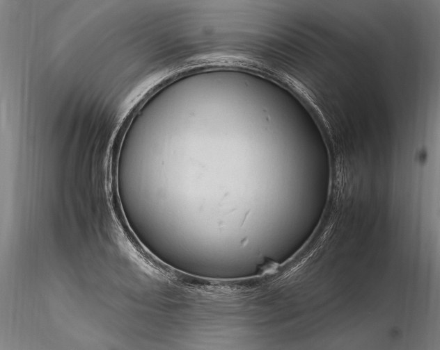 X0000116311082200912141353