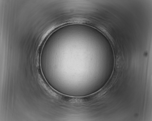 X0000116311083200912141353