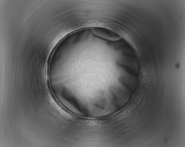 X0000116311084200912141353