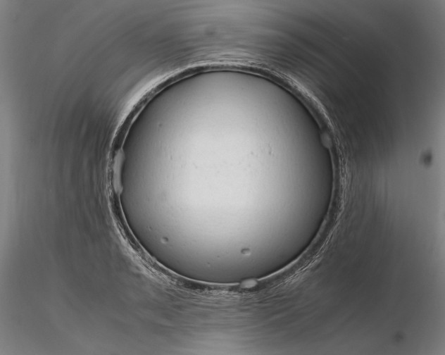 X0000116311085200912141353