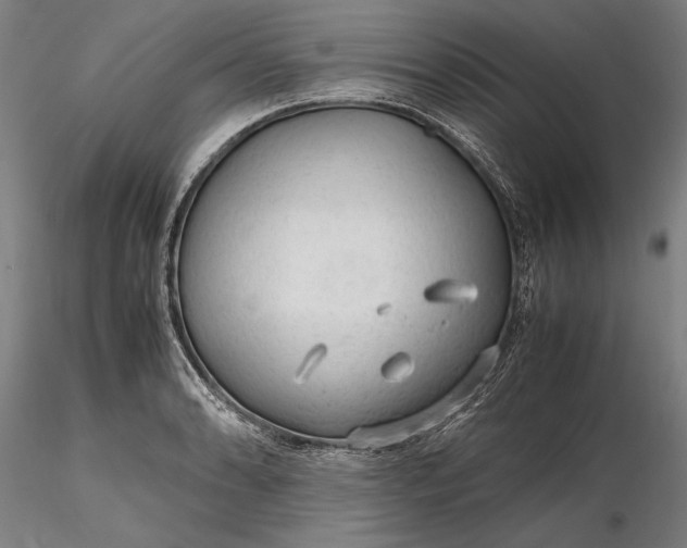 X0000116311086200912141353