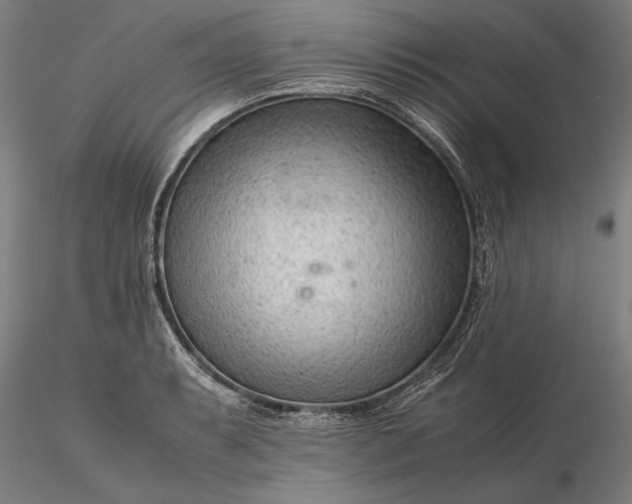 X0000116311087200912141353