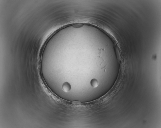 X0000116311088200912141353