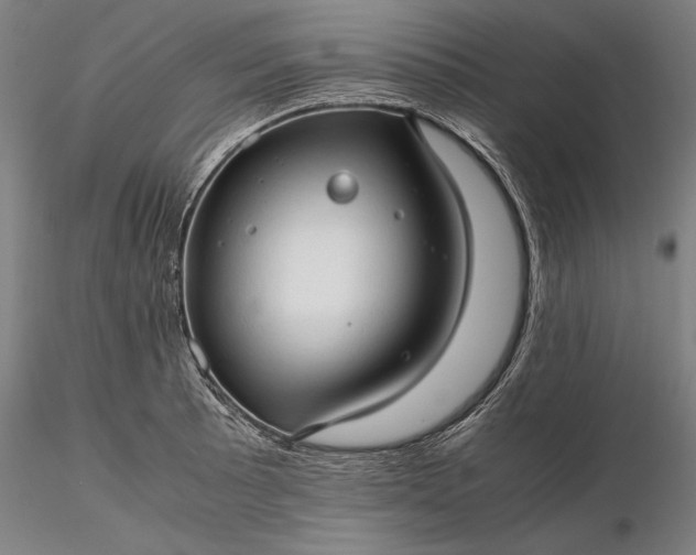 X0000116311089200912141353