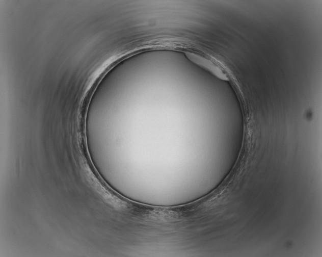 X0000116311091200912141353