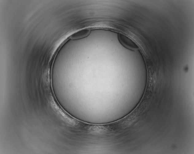 X0000116311092200912141353