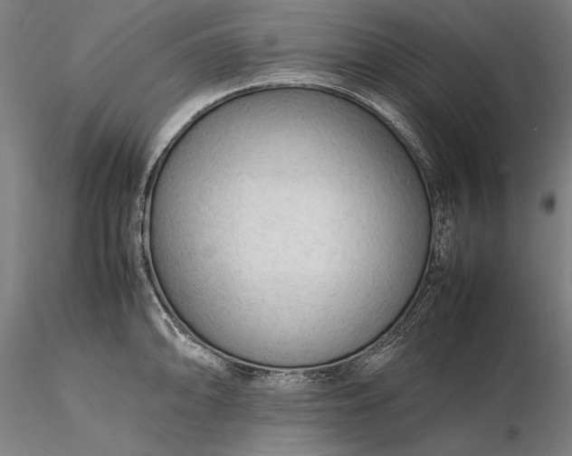 X0000116311094200912141353