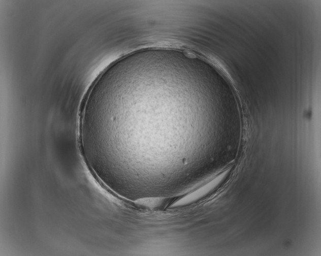 X0000116311095200912141353