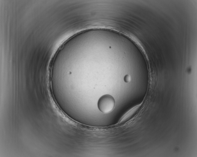 X0000116311096200912141353