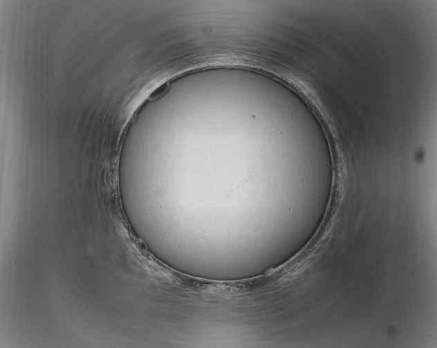 X0000116311097200912141353