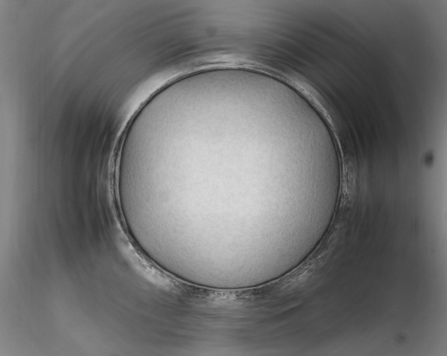 X0000116311098200912141353