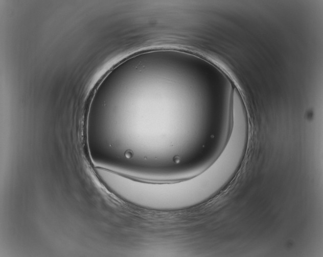 X0000116311101200912141353