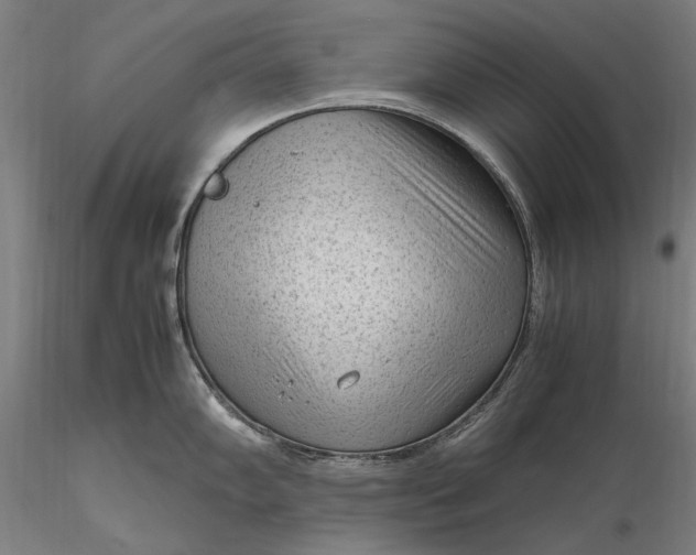 X0000116311102200912141353