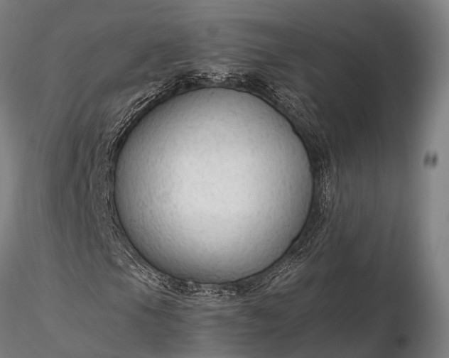 X0000116311105200912141352