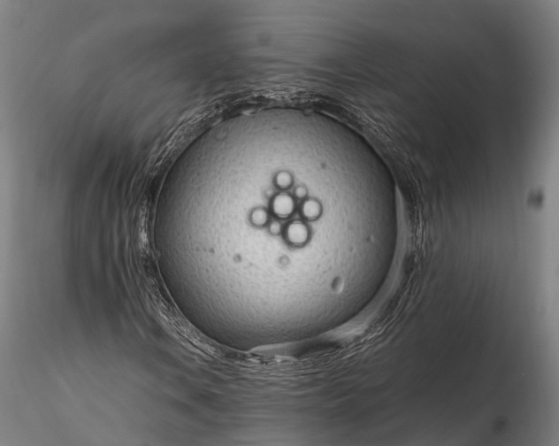 X0000116311106200912141352