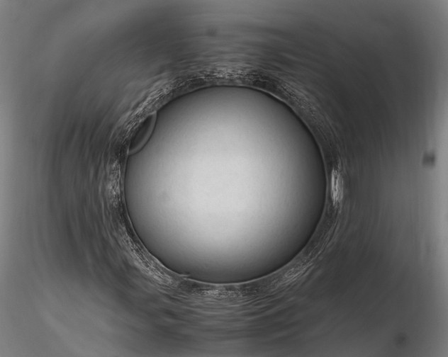 X0000116311107200912141352