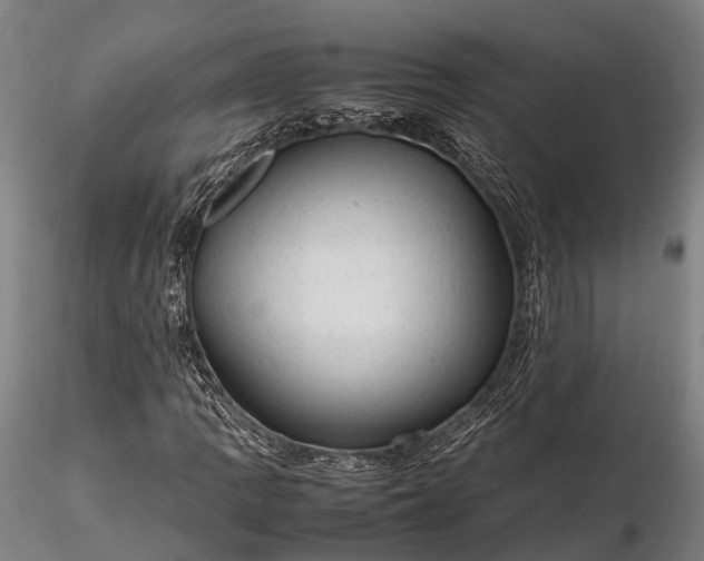 X0000116311109200912141352