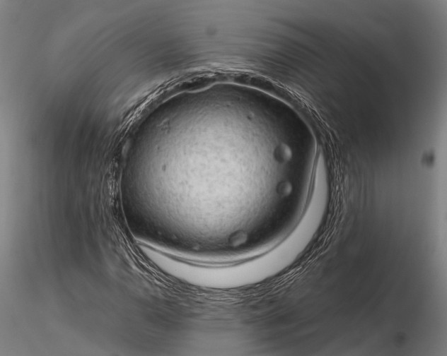 X0000116311110200912141352