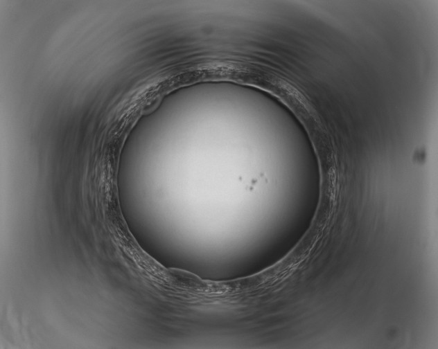 X0000116311111200912141352