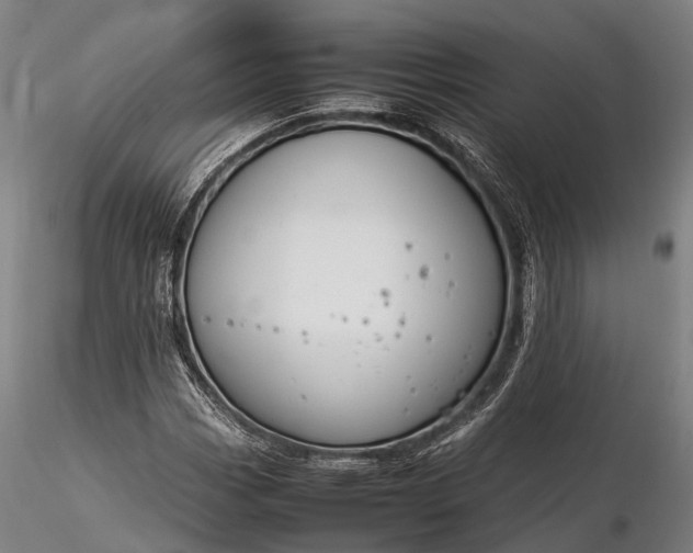 X0000116311113200912141352