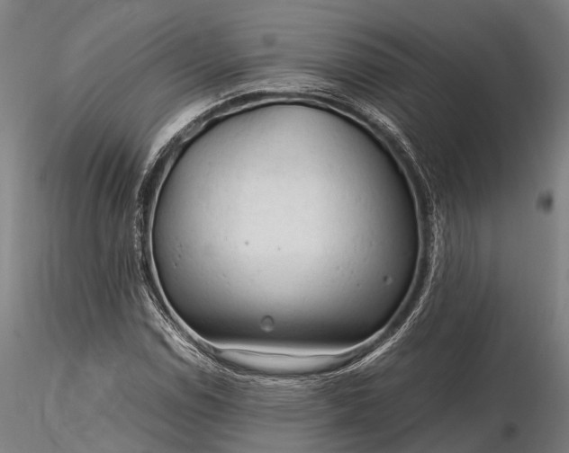 X0000116311114200912141352