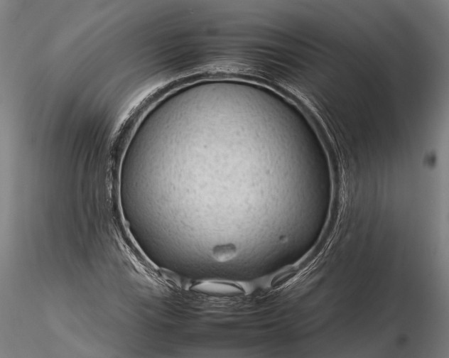 X0000116311115200912141352