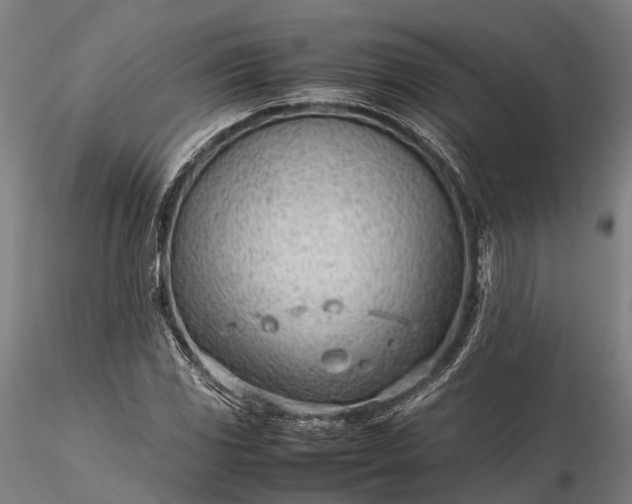 X0000116311117200912141352