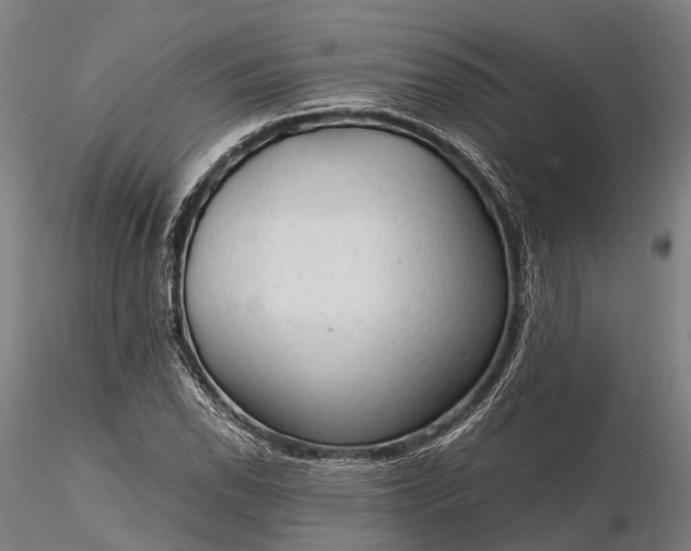 X0000116311118200912141352