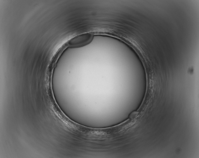 X0000116311119200912141352