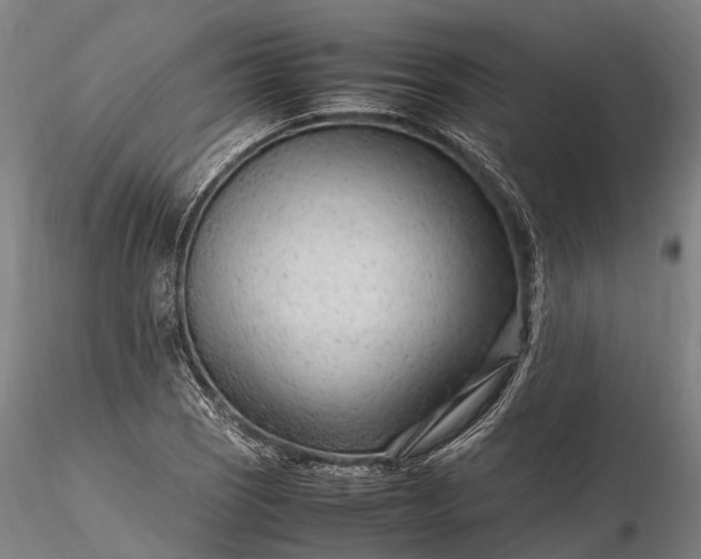 X0000116311121200912141352