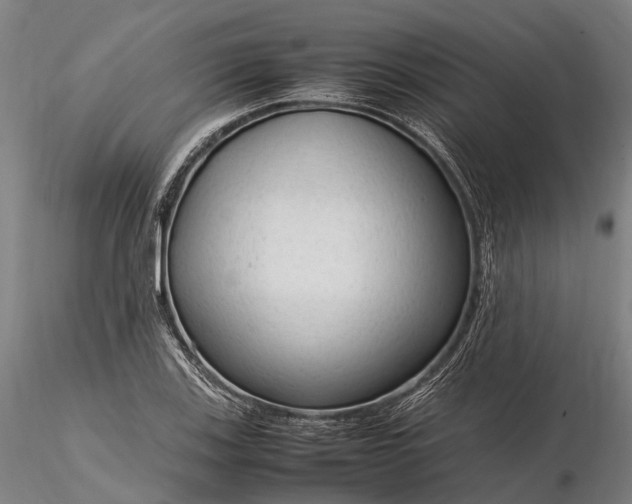 X0000116311123200912141352