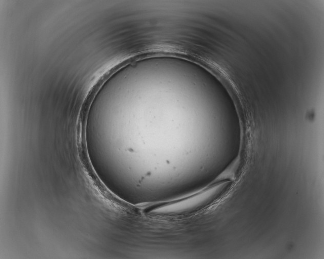 X0000116311125200912141352