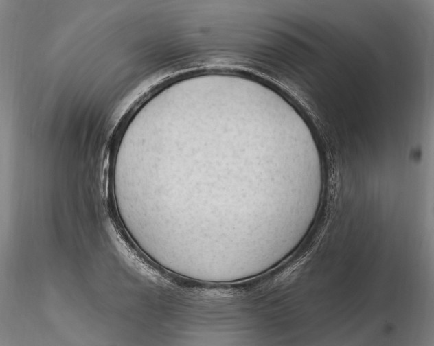 X0000116311126200912141352