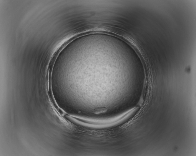 X0000116311127200912141352