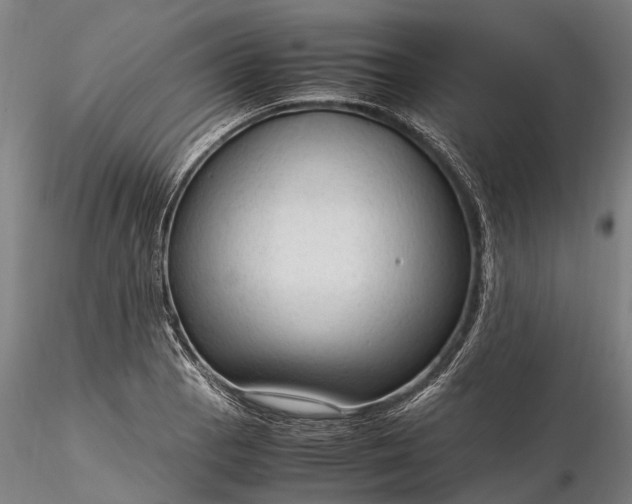 X0000116311129200912141352