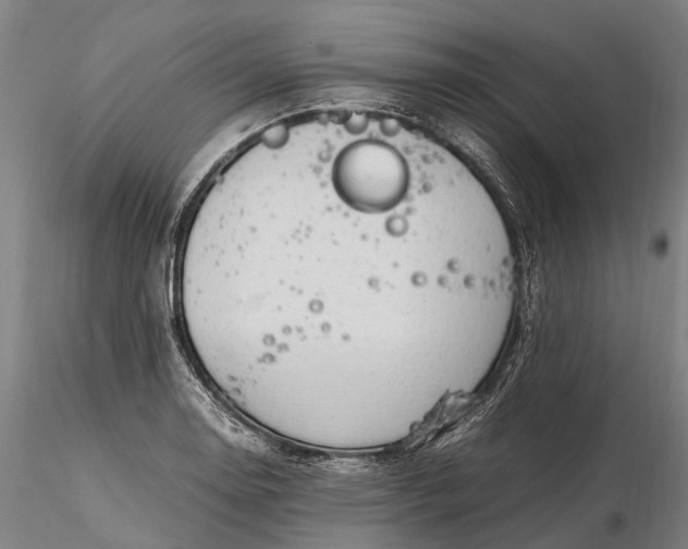 X0000116311130200912141352