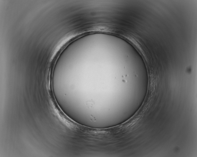 X0000116311131200912141352