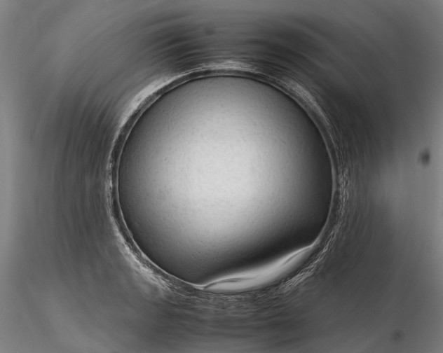 X0000116311133200912141352