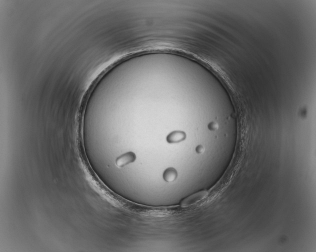 X0000116311134200912141352