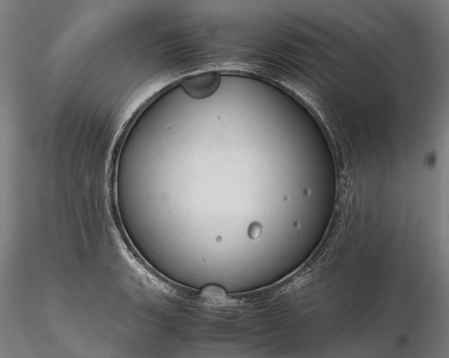 X0000116311135200912141352