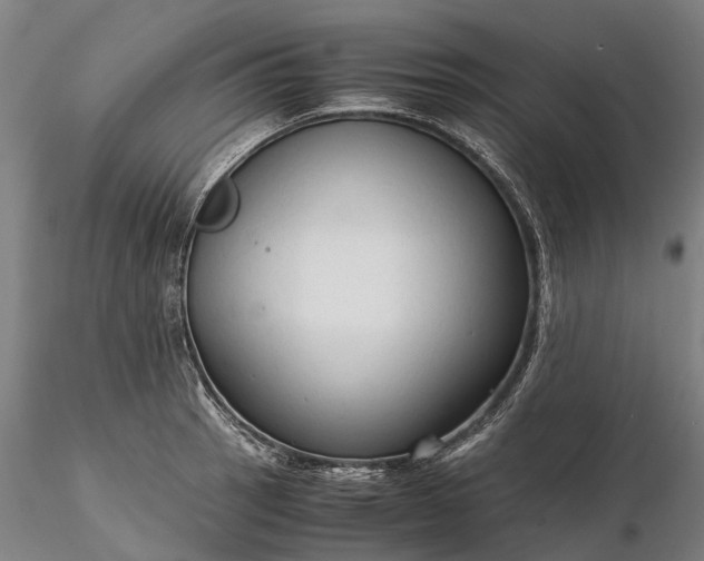 X0000116311137200912141353