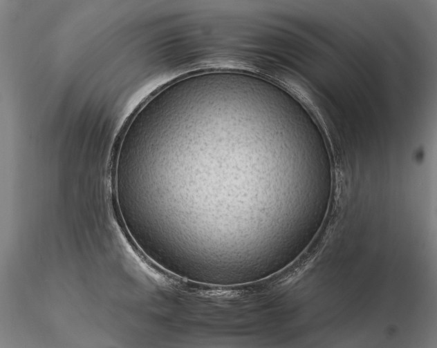 X0000116311141200912141353