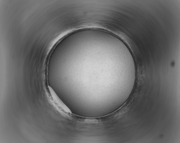 X0000116311142200912141353