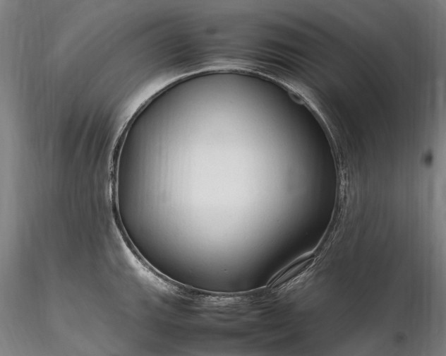 X0000116311143200912141353